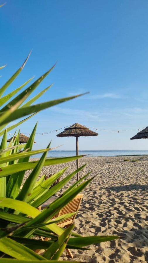 Cocon Du Lac Mobilhome 3 Chambres,6 Pers,Camping Mayotte 5 Etoiles Biscarrosse Landes Екстер'єр фото